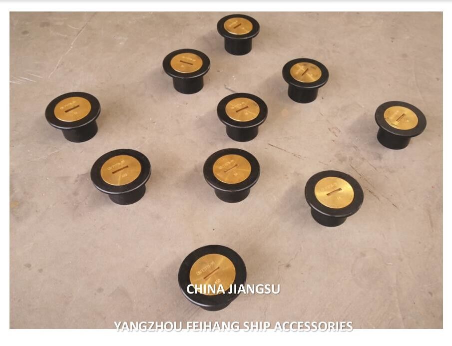 Cabeza del tubo de sondeo Tipo A65 Cb/T3778 Cabeza de sondeo de inyección Cuerpo de acero fundido tapa de latón