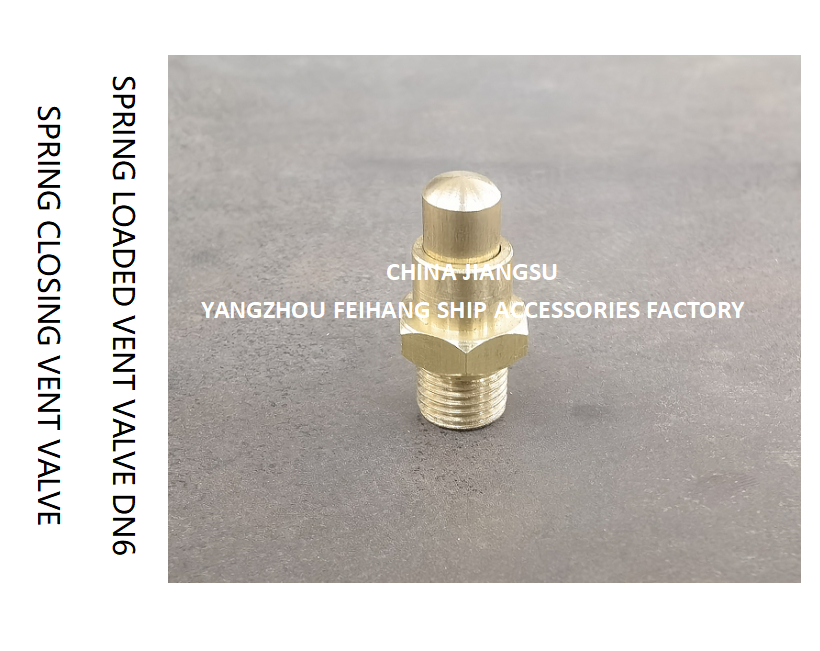DN6 Brass Spring Loaded Vent Valve with Threaded Ends and CB/T3778-1999 Standard