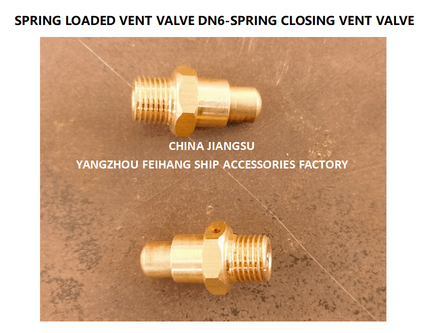 DN6 Spring Loaded Vent Valve with Threaded Ends Compliant with CB/T3778-1999 Standard