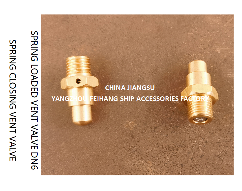 DN6 Spring Loaded Vent Valve with Threaded End Compliant with CB/T3778-1999 Standard