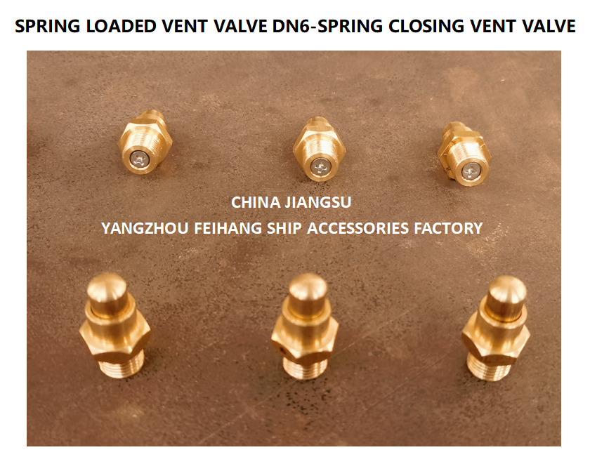 DN6 Brass Spring Loaded Vent Valve with Threaded Ends Compliant to CB/T3778-1999 Standards